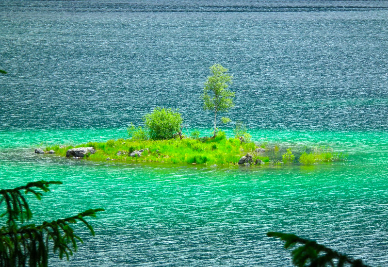 Kleine Insel mit Gras, Steinen und zwei Bäumen im türkis-blauen Wasser eines Sees