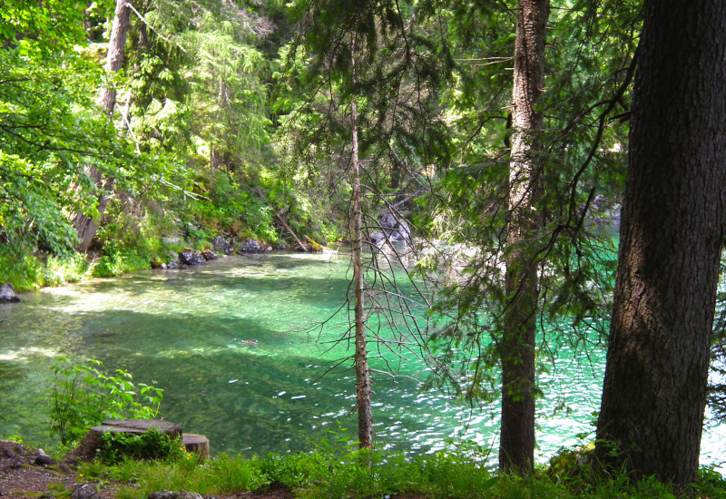 Klares, grünes Bergsee-Wasser umgeben von Tannen und Waldlichtungen