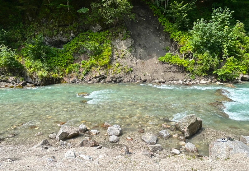 Klares Flusswasser mit Steinen im Flussbett, bewachsene Ufer mit Bäumen und grünen