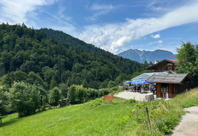 Bergwiese mit Holzhaus und Freisitz unter blauen Schirmen, bewaldete Berge und Berggipfel im Hintergrund bei sonnigem Himmel