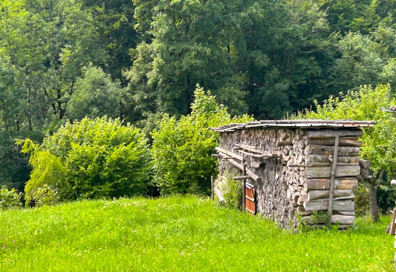 Holzschuppen aus aufgeschichteten Baumstämmen auf grüner Wiese vor Waldkulisse
