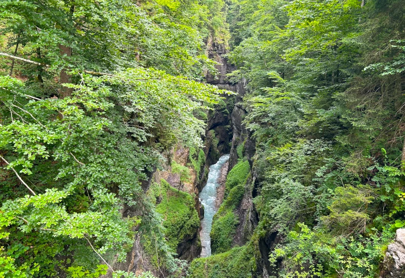Enger, mit moosbedeckten Felsen begrenzter Flusslauf, umgeben von dichtem, grünem