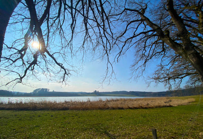 Blick auf einen See umgeben von Bäumen und Gras.