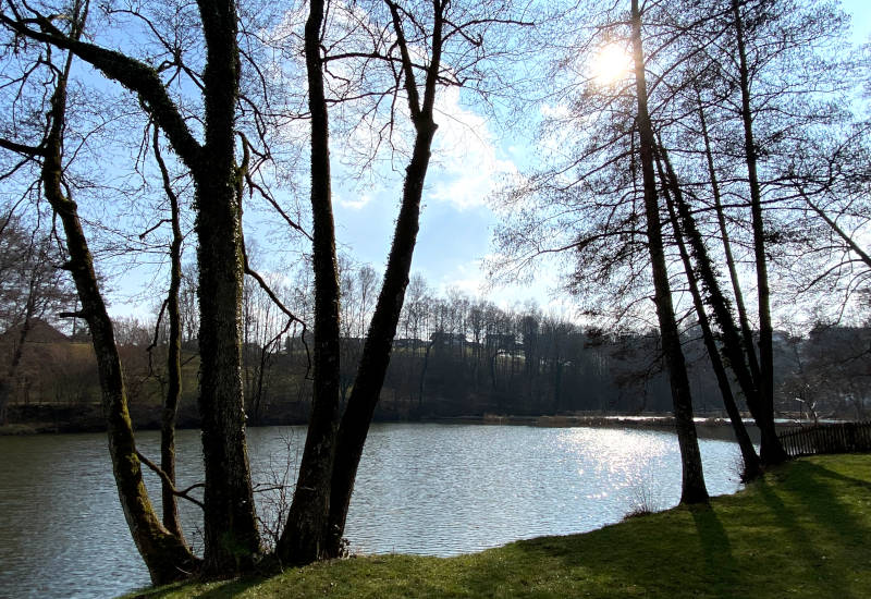 Blick auf einen See umgeben von Bäumen und Sonne.