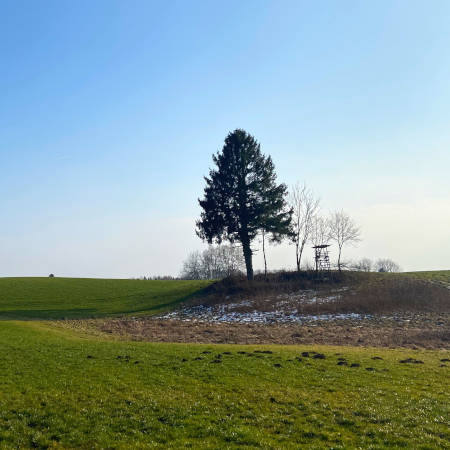 Entlang der Ebersberger Seen zur Ebersberger Alm