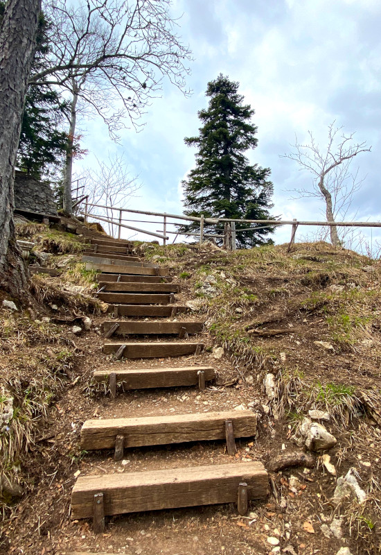 Holztreppe führt zu einem Aussichtspunkt in der Natur.