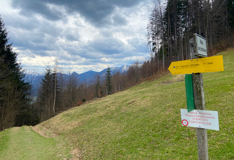 Wanderweg mit Hinweisschildern und bewaldeter Landschaft unter bewölktem Himmel.