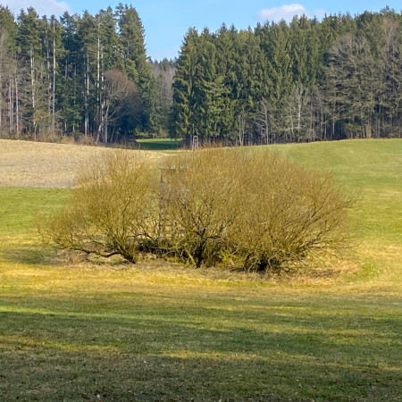 Spaziergang auf dem Toteiskesselweg