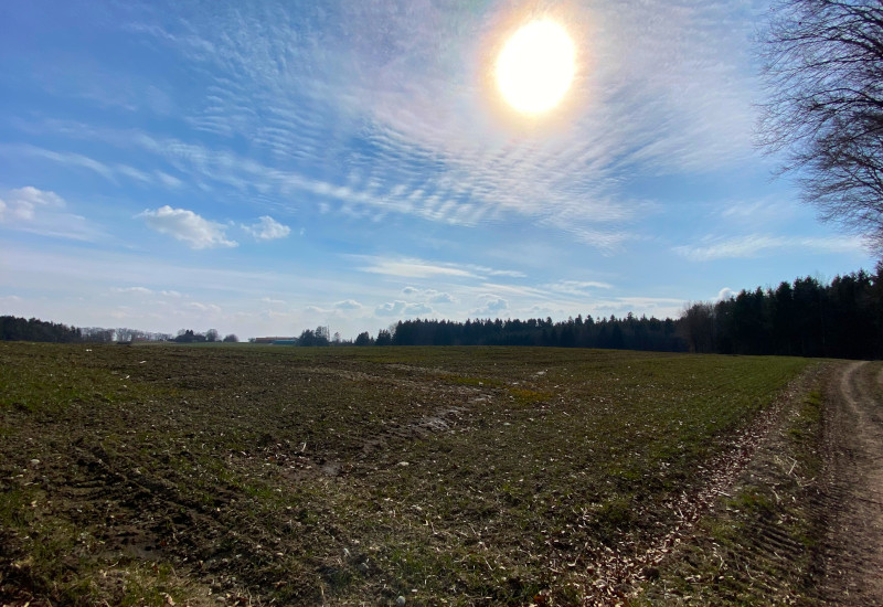Weites Feld unter blauem Himmel mit Sonne und Wolken.