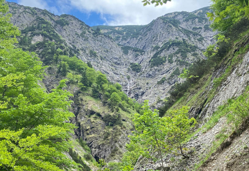 Berglandschaft mit steilen Felsen und grünen Bäumen.