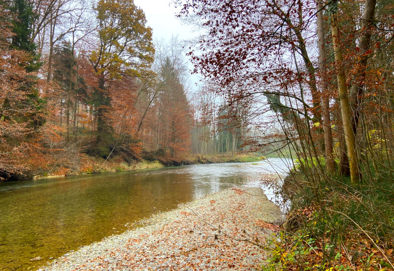 Herbstliche Landschaft mit Fluss und buntem Laub.