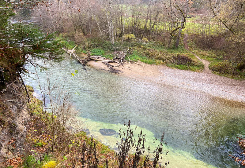 Fluss mit klarem Wasser, umgeben von Bäumen und Wiese.