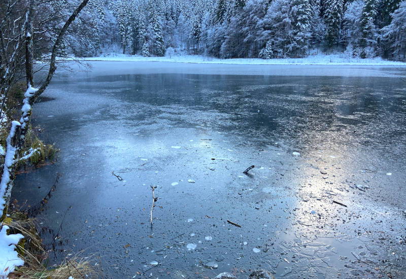 Eingefrorener See umgeben von schneebedeckten Bäumen.