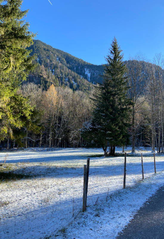 Winterlandschaft mit schneebedecktem Feld und Bäumen.