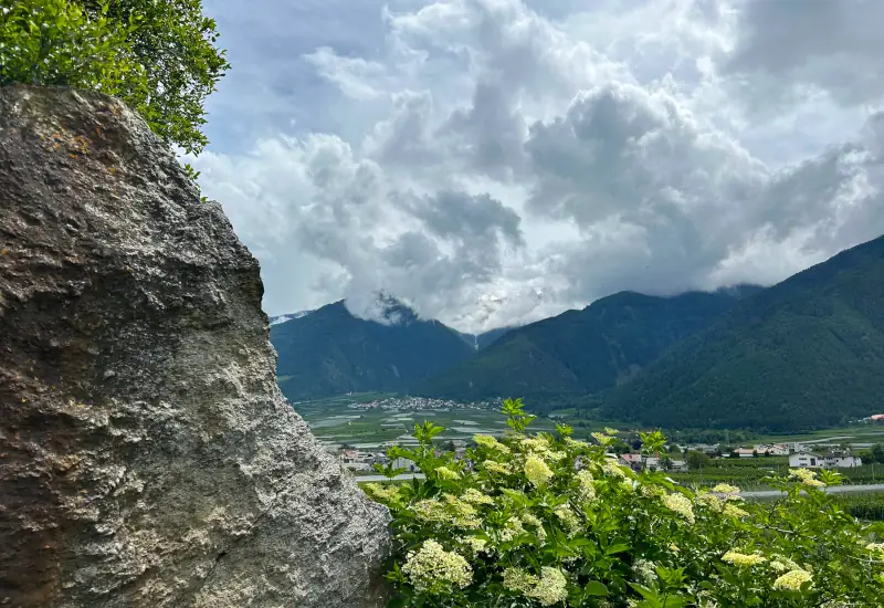 Blick auf Berge, Wolken und blühende Pflanzen im Vordergrund.