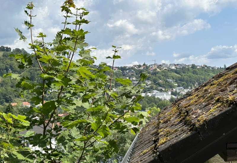 Blick auf ein Hausdach und bewaldete Hügel mit Wolken.