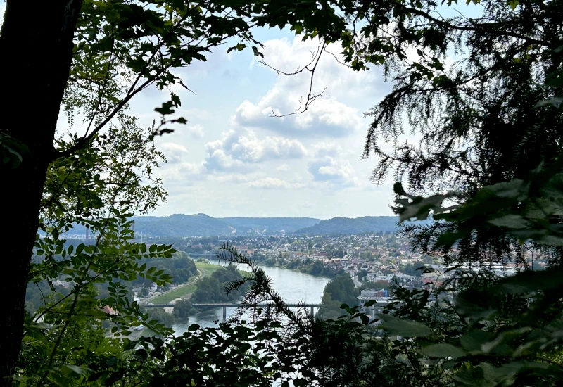 Blick auf eine Stadt am Fluss, umgeben von Bäumen.