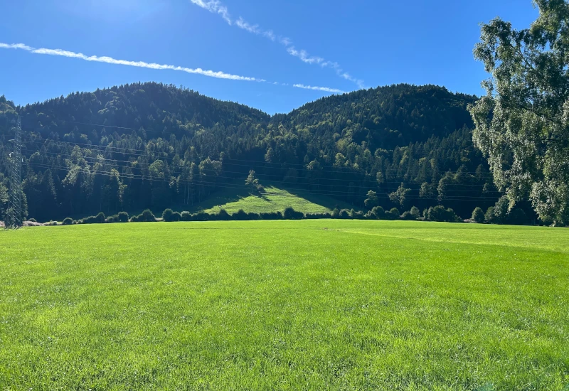 Grüne Wiese mit Bergen und blauem Himmel im Hintergrund.