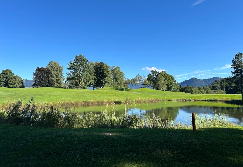 Grüne Landschaft mit Teich und Bäumen unter blauem Himmel.