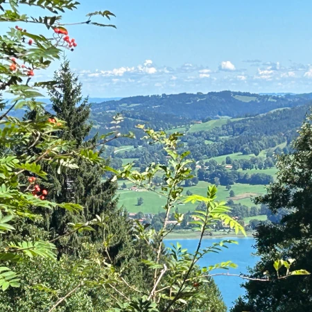 Vom Tegernsee zum Wasenkogel