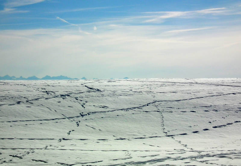 Schneebedeckte Landschaft mit blassem Himmel und Berggipfeln im Hintergrund.