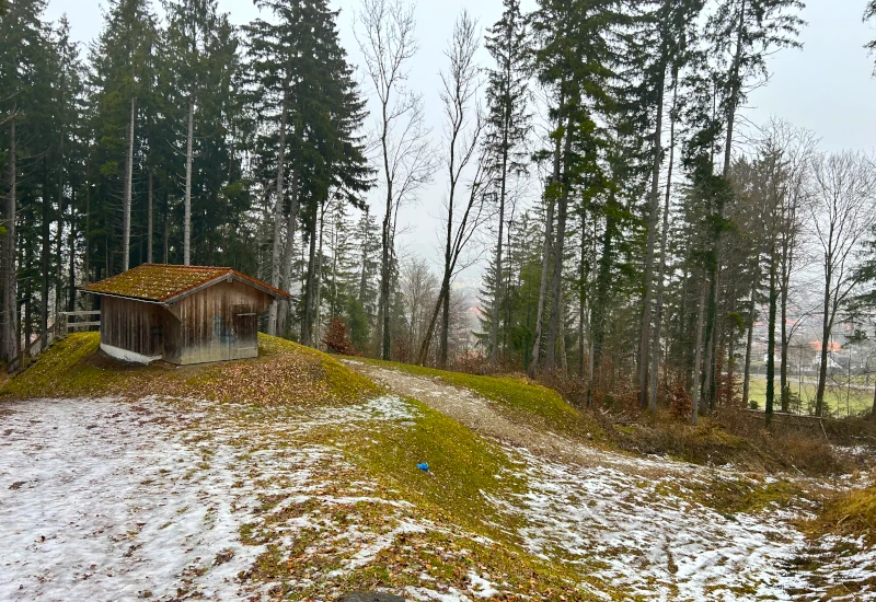 Holzhütte im Wald mit Schnee und herbstlichen Blättern.