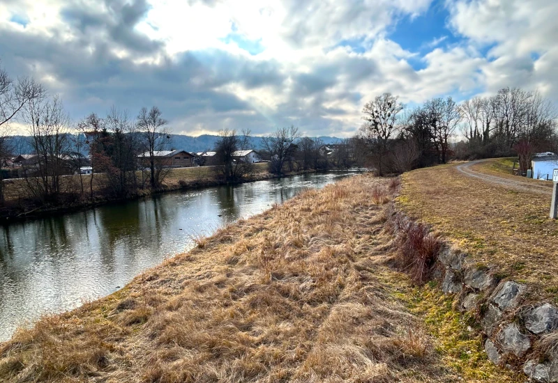 Flusslandschaft mit Bäumen und bewölktem Himmel.