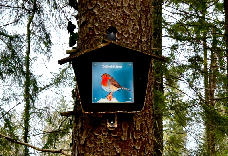 Ein Schild mit einem Bild eines Rotkehlchens.