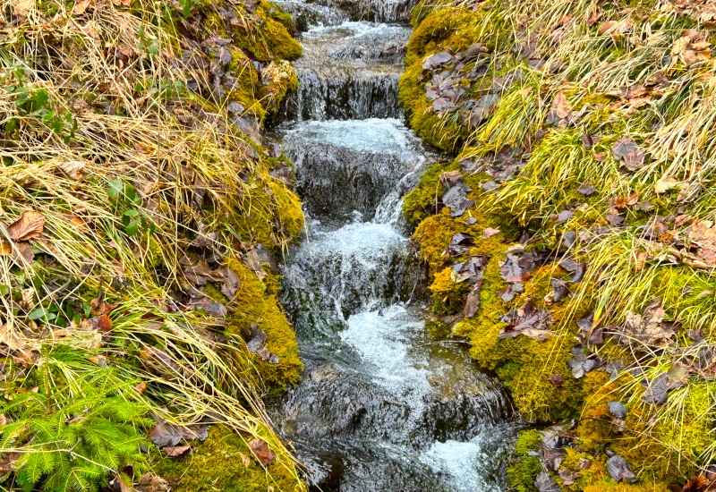 Bach mit Wasserfällen, umgeben von Gras und Laub.